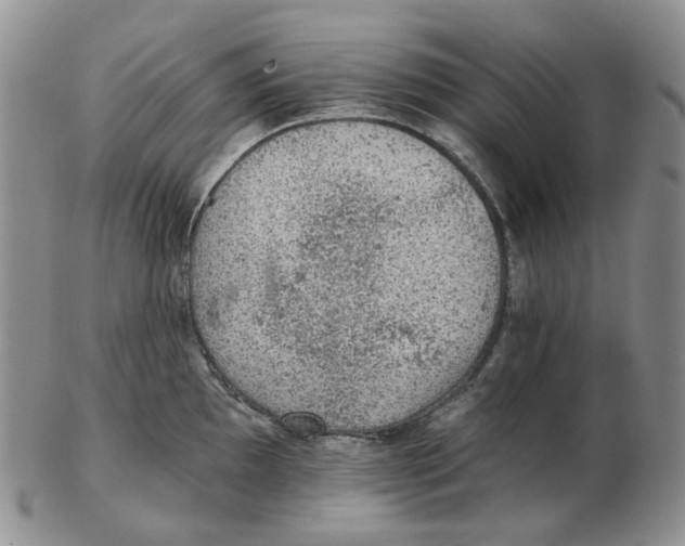 X0000102771097200809151033