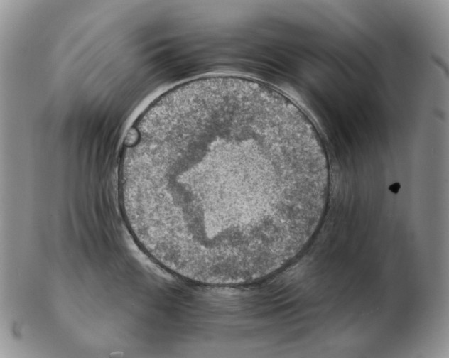 X0000102771100200809151033