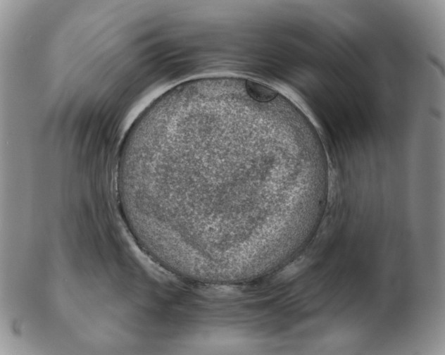 X0000102771101200809151033