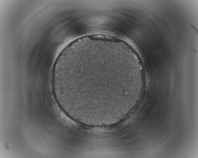 X0000102771102200809151033