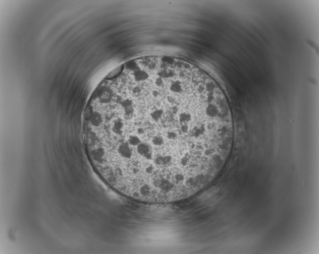 X0000102771103200809151033