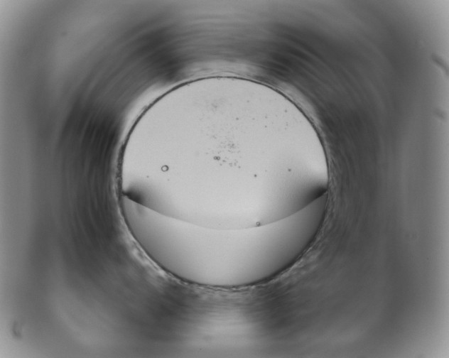 X0000102771104200809151033