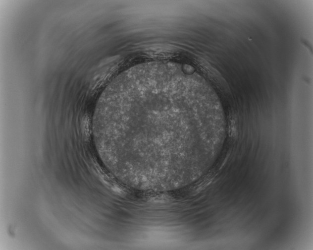 X0000102771108200809151032