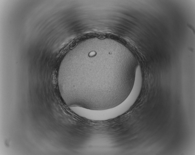 X0000102771110200809151032