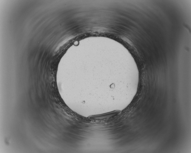 X0000102771112200809151032