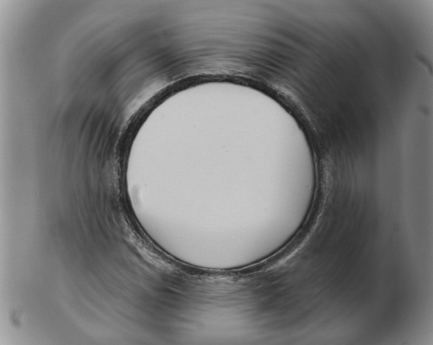 X0000102771114200809151032