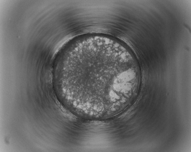 X0000102771115200809151032