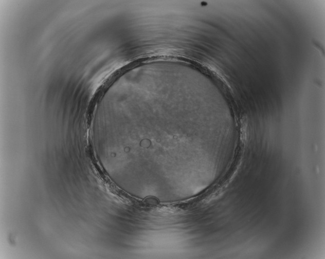 X0000102771117200809151032