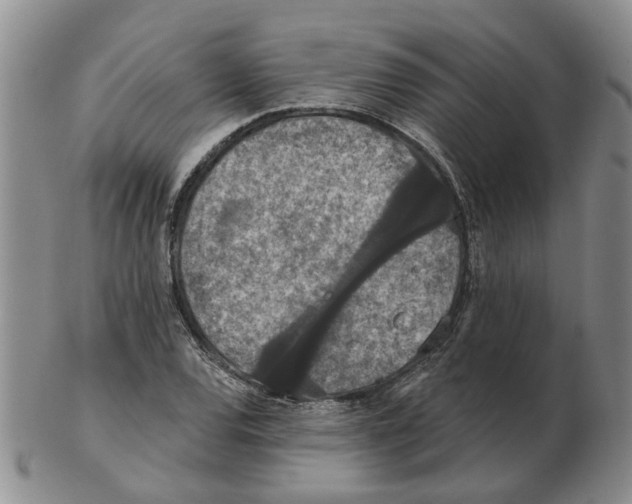 X0000102771120200809151033