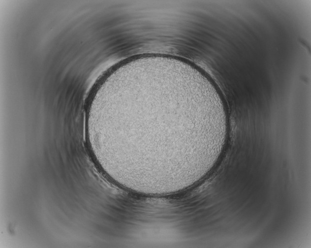 X0000102771123200809151033