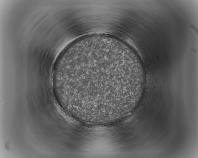 X0000102771124200809151033