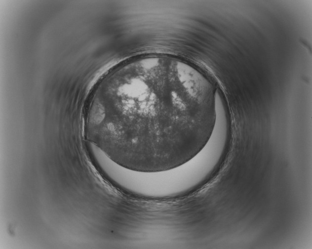 X0000102771125200809151033