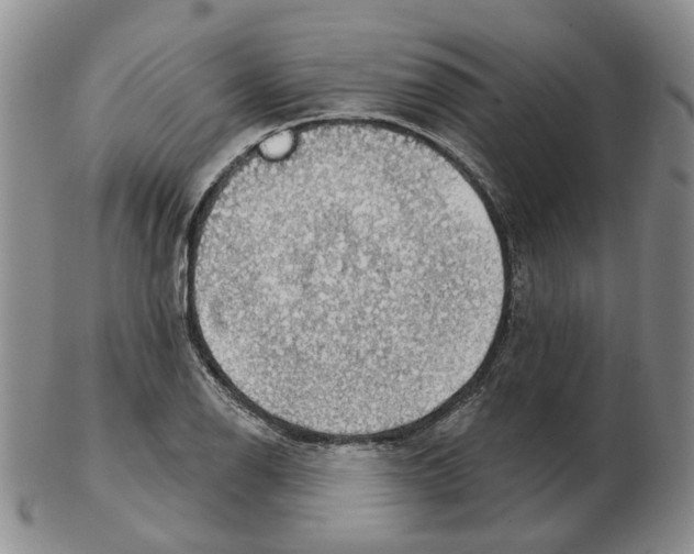 X0000102771126200809151033