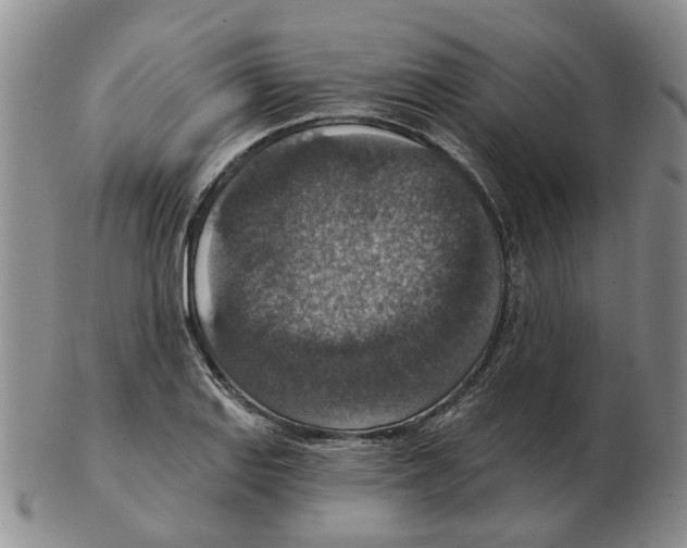 X0000102771127200809151033