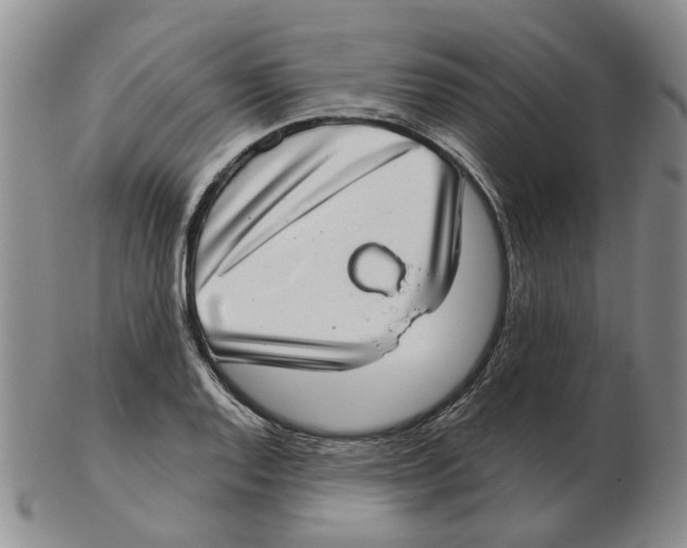 X0000102771128200809151033