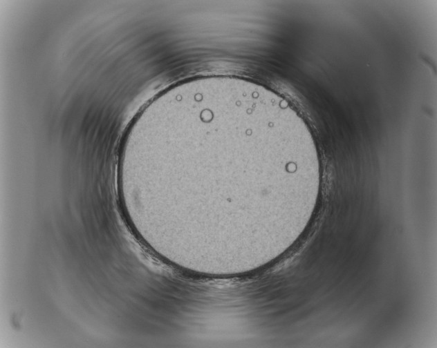 X0000102771130200809151033