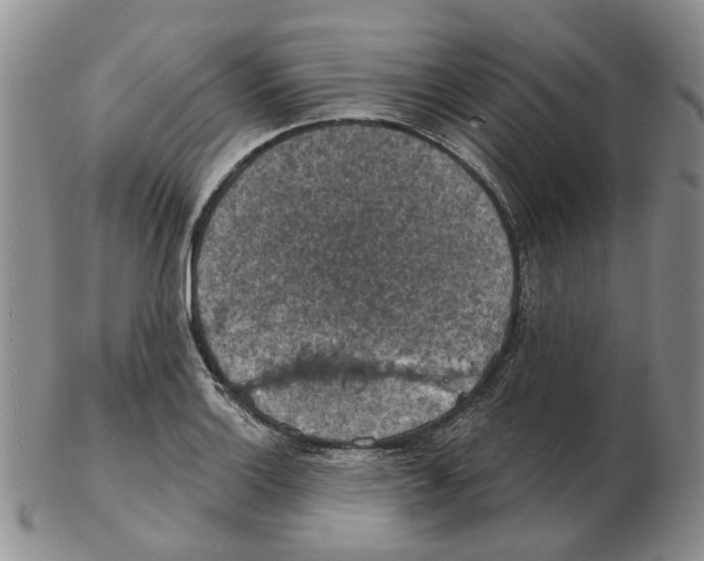 X0000102771132200809151033