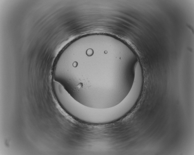 X0000102771134200809151033