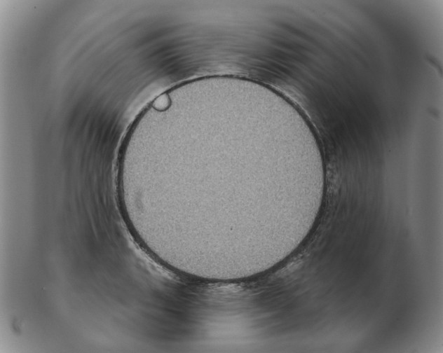 X0000102771135200809151033