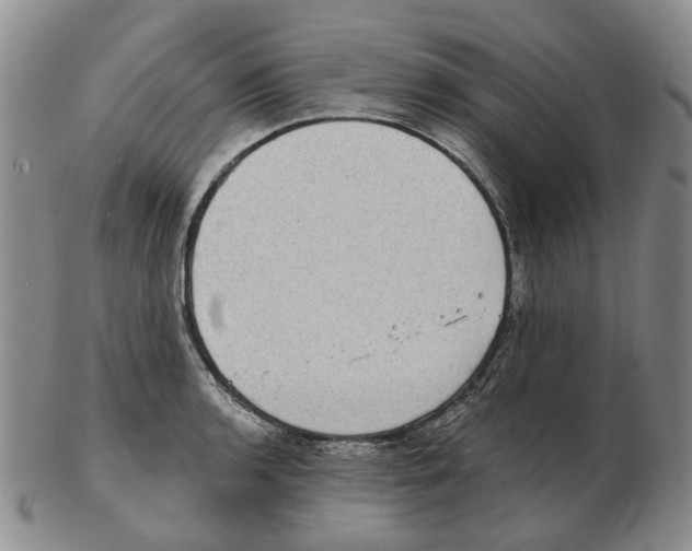 X0000102771136200809151033