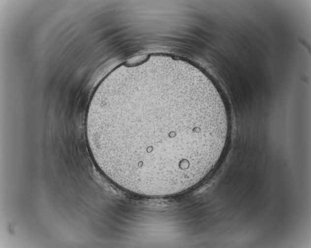 X0000102771137200809151033