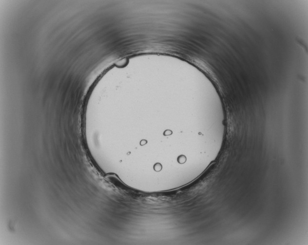 X0000102771138200809151033