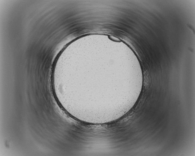 X0000102771139200809151033