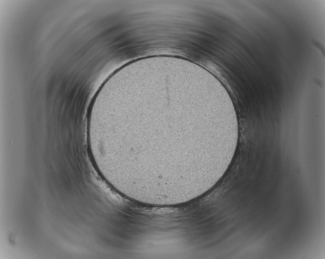 X0000102771140200809151033