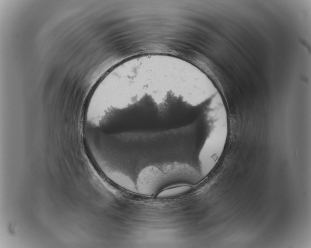 X0000102771141200809151033