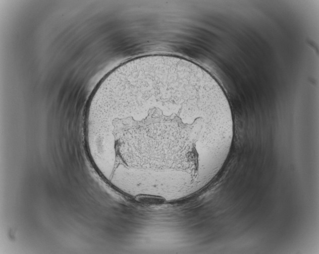 X0000102771142200809151033