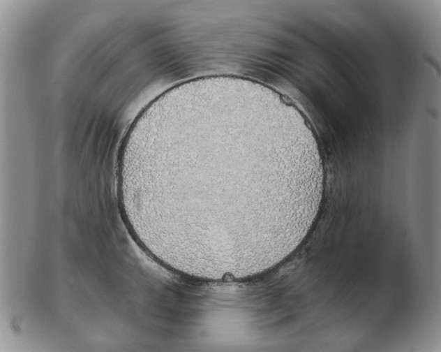 X0000102771143200809151033