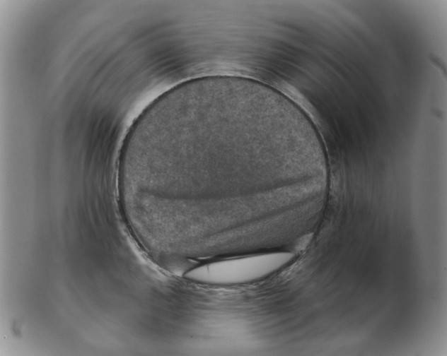 X0000102771144200809151033