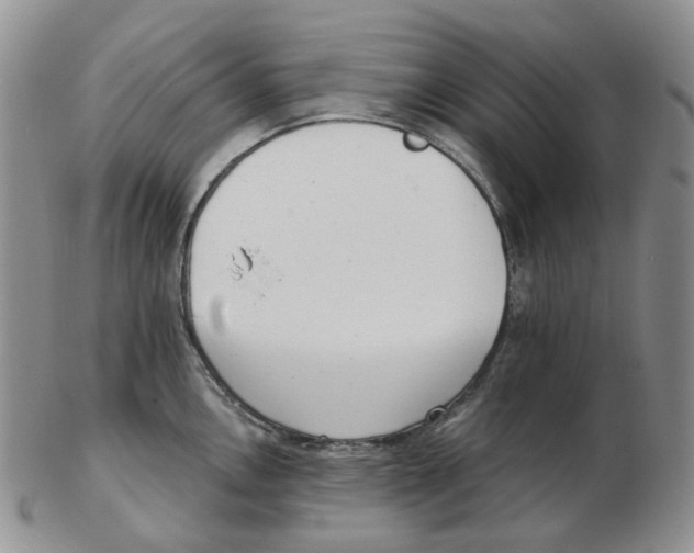 X0000102771146200809151033