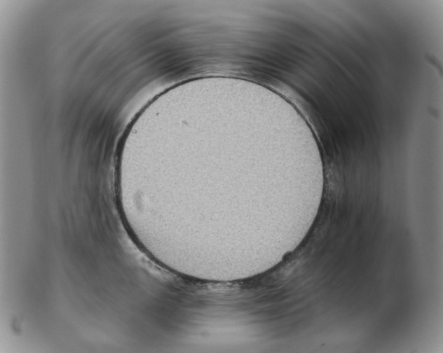 X0000102771147200809151033