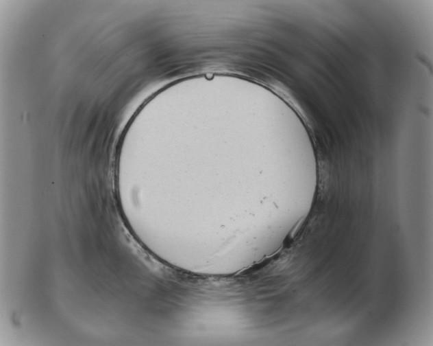 X0000102771148200809151033