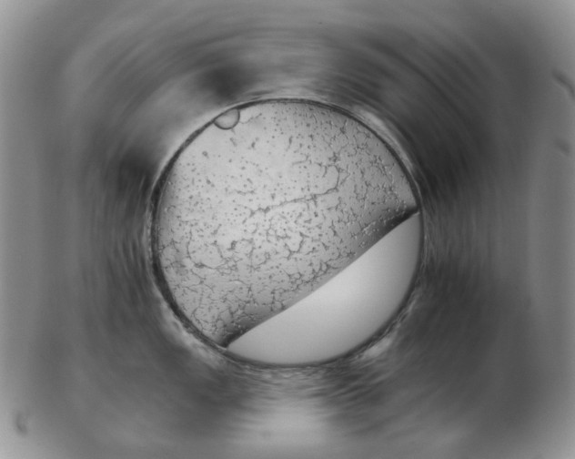 X0000102771149200809151033