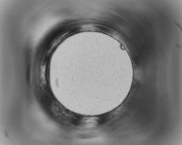 X0000102771150200809151033