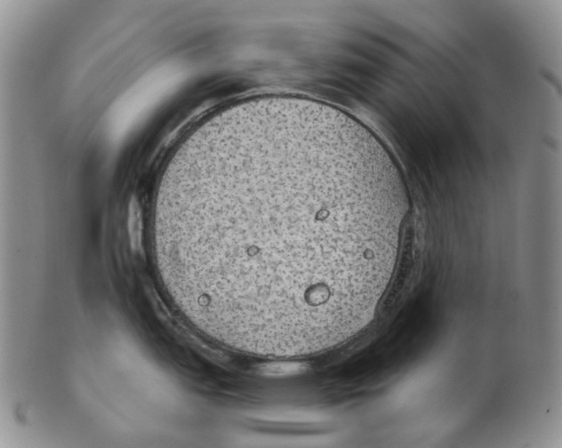 X0000102771151200809151033