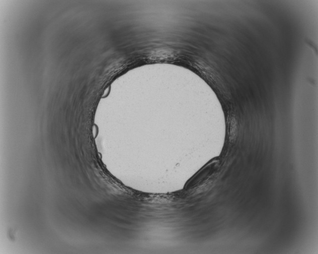 X0000102771153200809151032