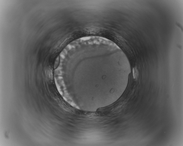 X0000102771155200809151032