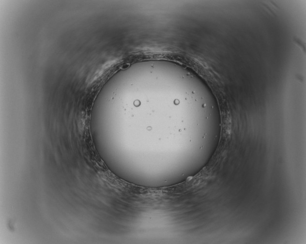 X0000102771157200809151032