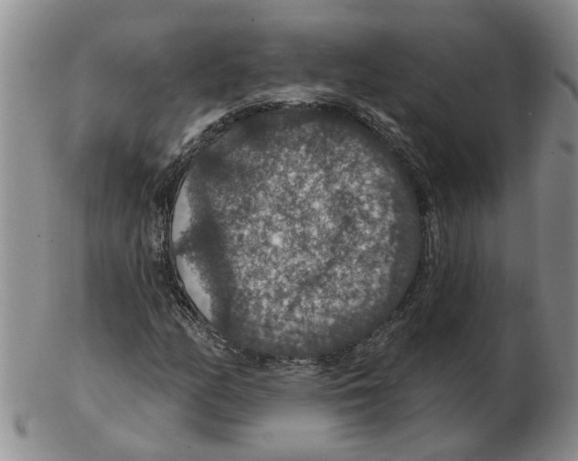 X0000102771158200809151032