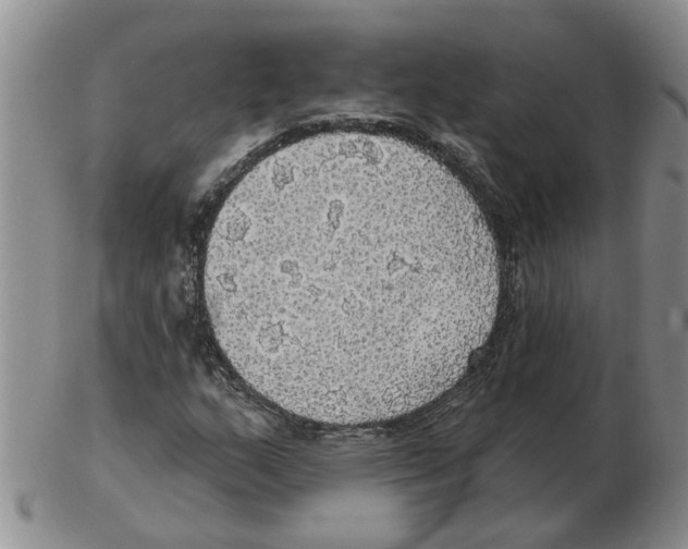 X0000102771159200809151032