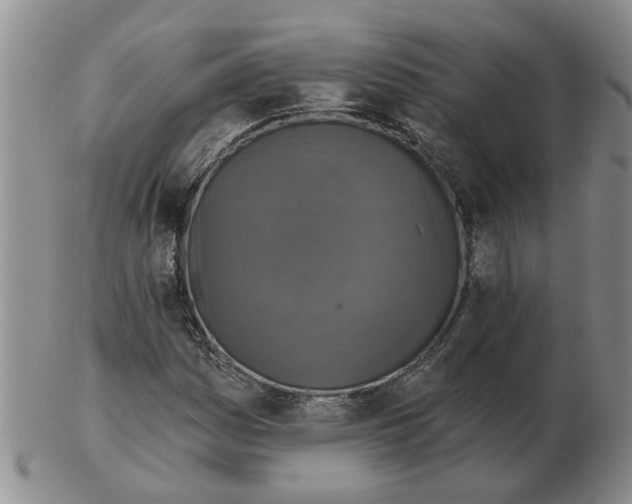 X0000102771161200809151032