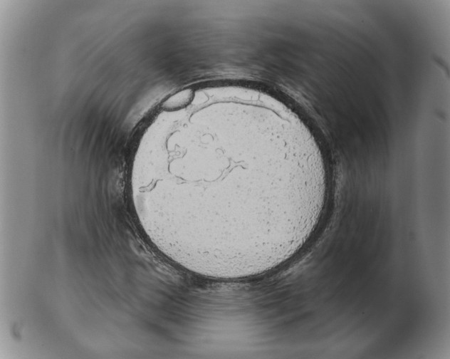 X0000102771163200809151032