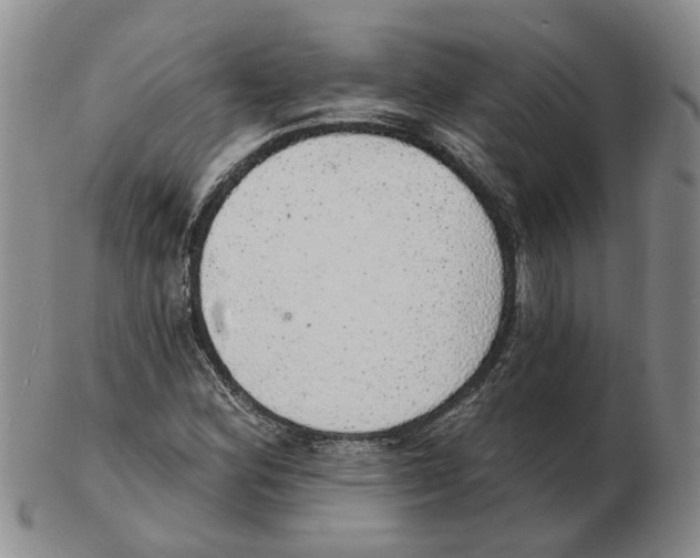 X0000102771164200809151032