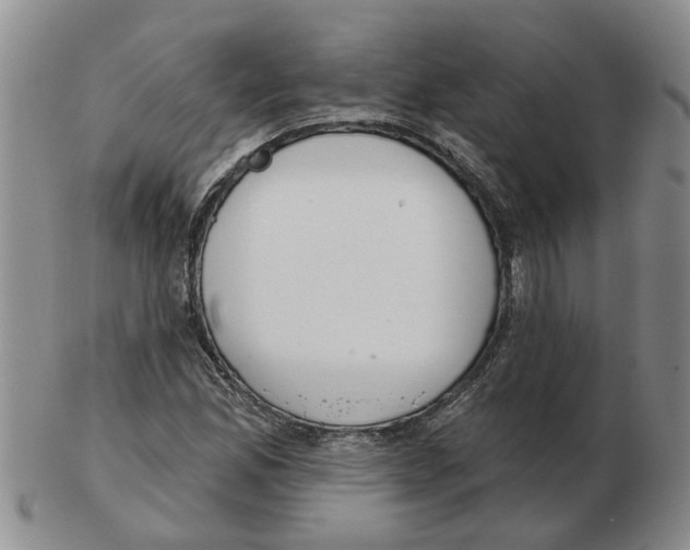 X0000102771165200809151032