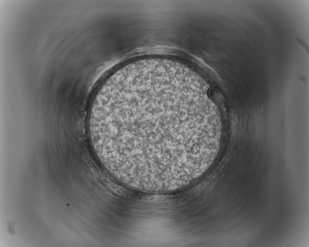 X0000102771166200809151032