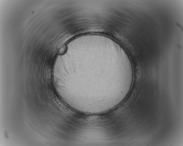 X0000102771169200809151032