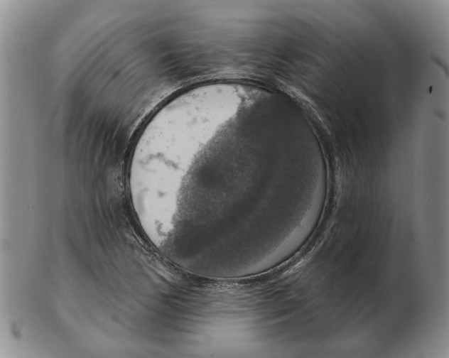 X0000102771170200809151032